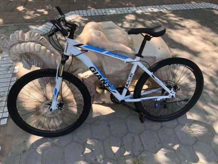 捷安特山地车自行车男女中青年学生变速单车减...