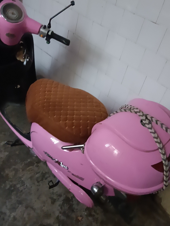 台铃电动车，电池黑金系列，仅限洛阳本地来