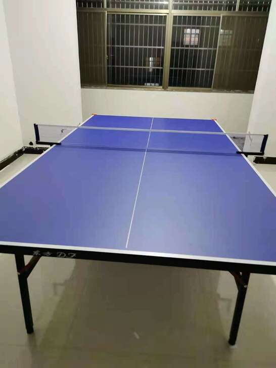 全新的包邮价！国标尺寸！乒乓球桌球台成人室...
