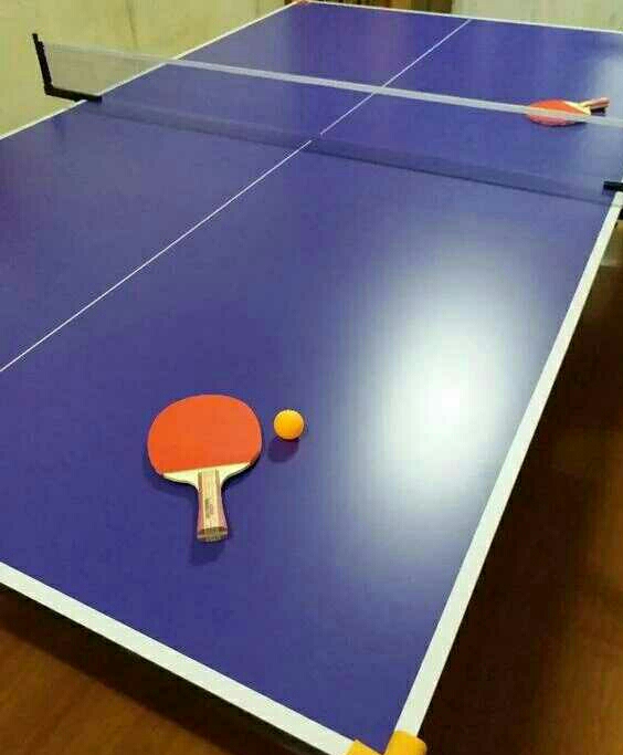 只要498元包邮送到家！全新处理一批乒乓球...