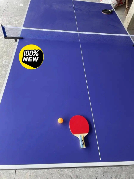 【清库存】帮朋友处理全新的乒乓球台 乒乓球...