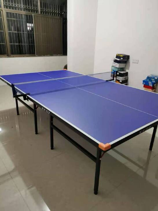 国标尺寸！成人款！乒乓球桌球台成人室内标准...