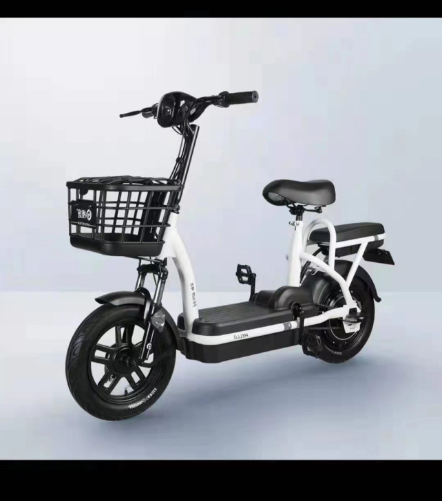 哈啰棒途电动车h16刚买不到三个月，出去学...