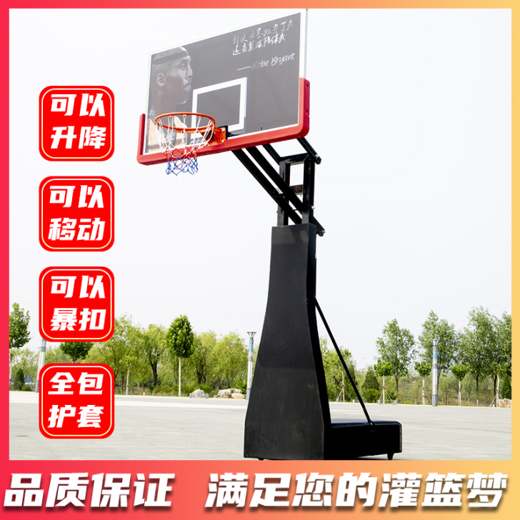 厂家直销移动成人家用室内儿童户外青少年升降...