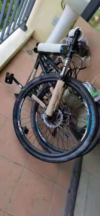 全新成人折叠自行车 闲置中 低价出售