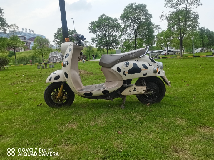 爱玛电动车，大概能跑三四十公里，电池是新的。