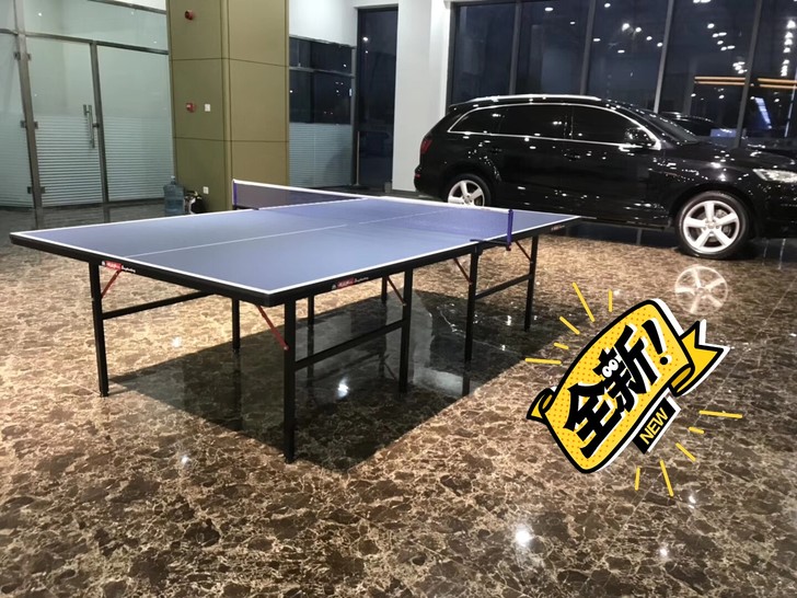 国标乒乓球台，室内使用