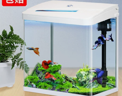 鱼有家桌面客厅高清玻璃迷你静音水族箱热弯免...