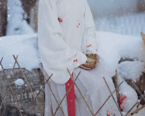 [兰若庭]红果果 全新仅试穿 只有马面，上...