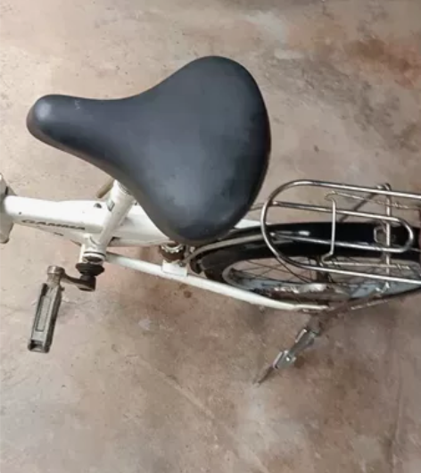 捷马18寸轮胎高碳钢折叠后减震自行车，图片...