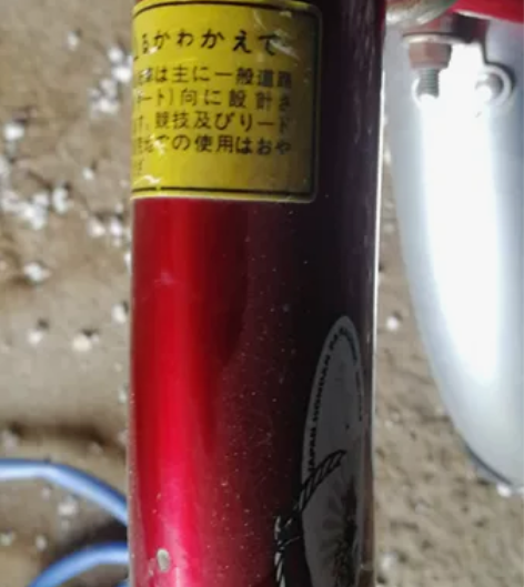 朋友送的红色折叠自行车,不是国产的,都是日...