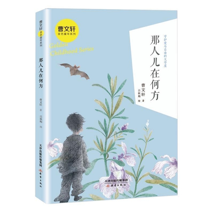 曹文轩系列儿童文学 那人儿在何方 曹文轩著