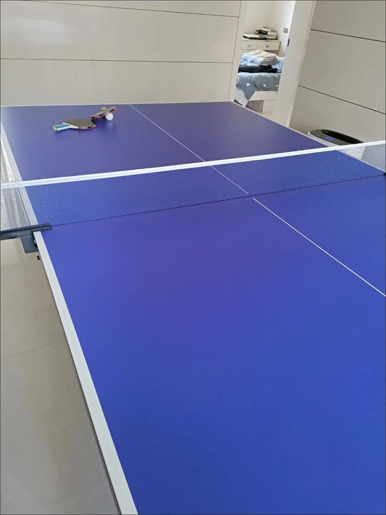 处理一批乒乓球桌球台家用室内球案可以折叠国...