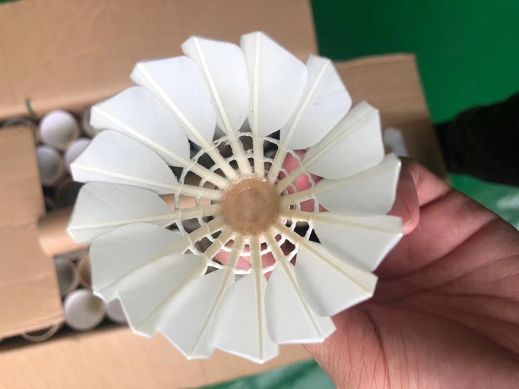 耐打羽毛球羽毛球