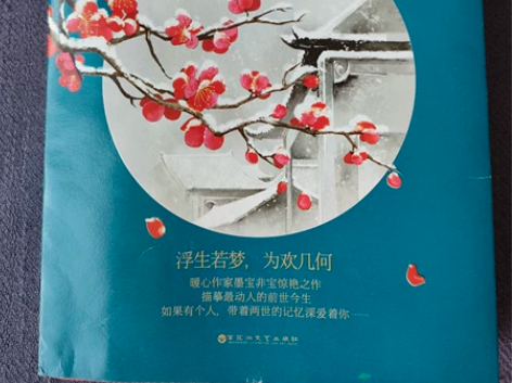 一生一世美人骨墨宝非宝著任嘉伦白鹿主演电视...