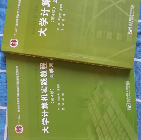 大学计算机+大学计算机实践，全新，蒋加伏主...
