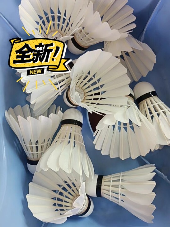 克洛斯威羽毛球    库存处理