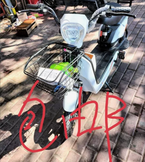 飞鸽新国标电动车成人电动自行车48V小型电...