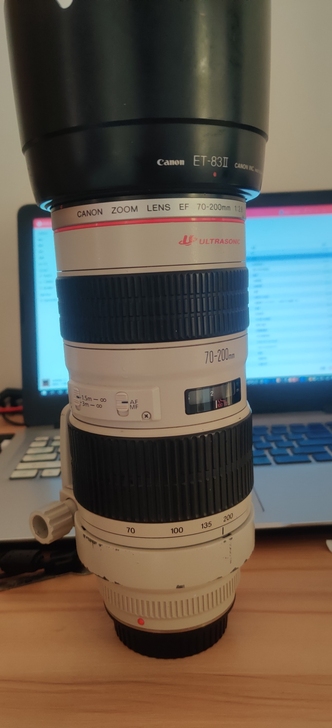 佳能小白镜头70-200镜头，你们开价吧