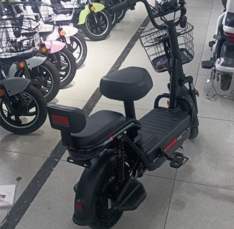 立马48.20安新国标电动车，保险，牌子，...