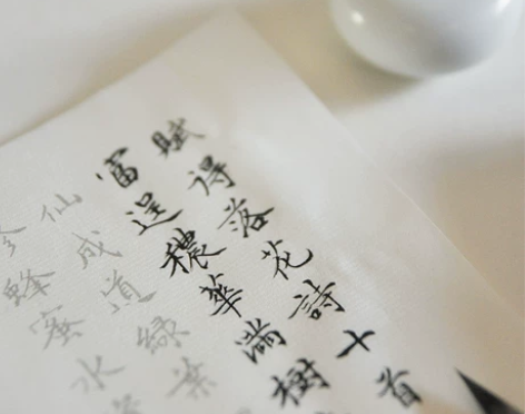 转  全新 花草小楷毛笔字帖描红宣纸书法练...
