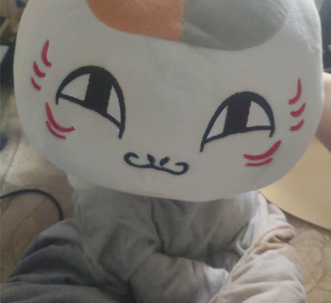 出一个猫咪老师吧，床上空间不足，放不下它了...