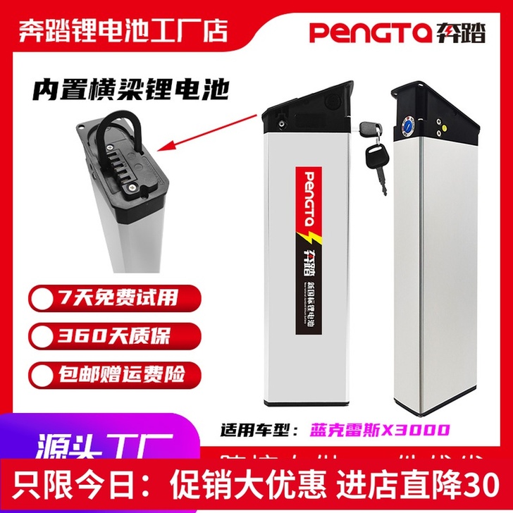 蓝雷电动车电池48v12a