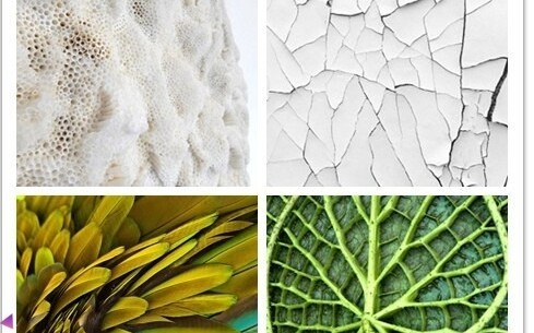 服装设计大赛肌理感面料二次造型面料设计大自...