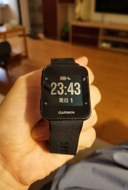 佳明garmin forever ru...