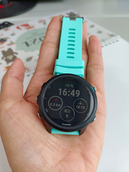 佳明(GARMIN)Forerunner ...