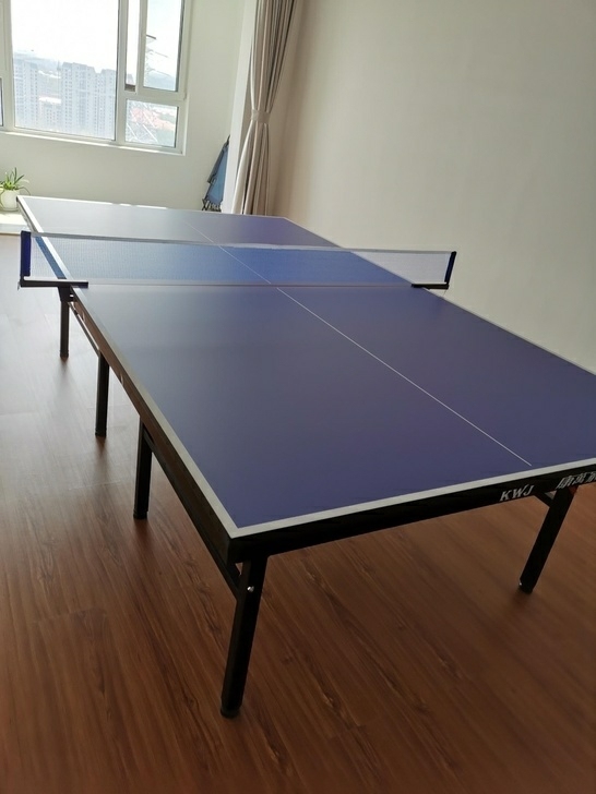 可折叠国标尺寸!全新乒乓球桌球台成人室内标...