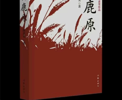 白鹿原正版无删减完整版陈忠实茅盾文学电视剧...