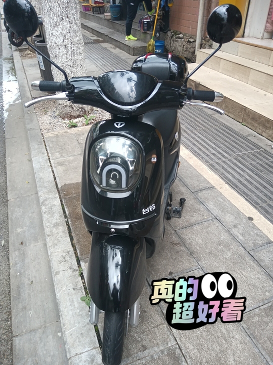 台铃，国标电动车，48V15A，锂电池，电...