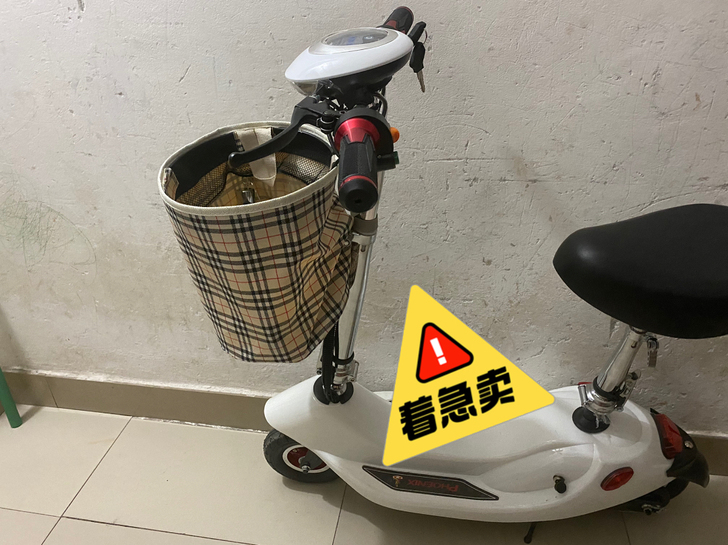 凤凰小海豚电动车折叠小巧型。 钢琴白。 2...