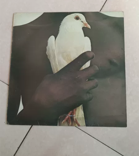 老唱片 绿色韩版圣 经 其他台版...
