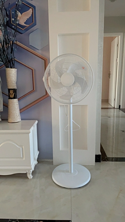 TCL电风扇落地扇家用静音摇头机械定时台式...