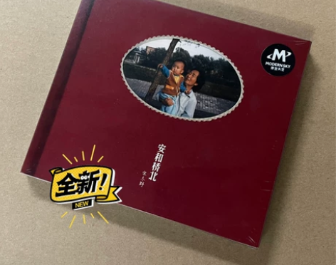 正版包邮 宋冬野 实体专辑安和桥北 董小姐...