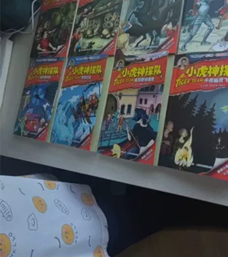 《小虎神探队》第一季，共10册，新旧程度看...