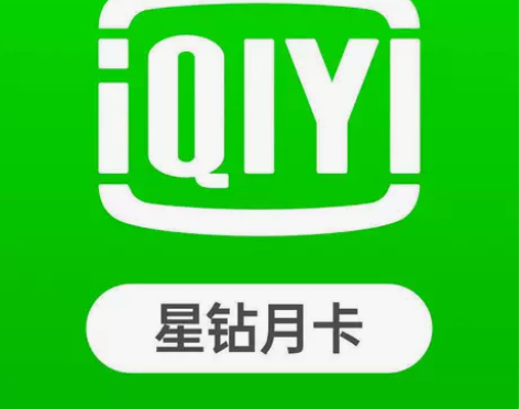 【自动秒发货】爱奇艺星钻会员月卡30天一个...