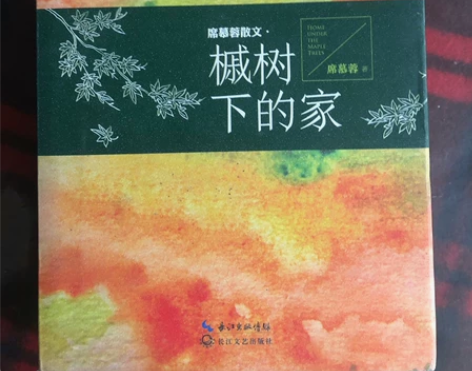 《槭树下的家》席慕蓉 很喜欢的文学散文小说...