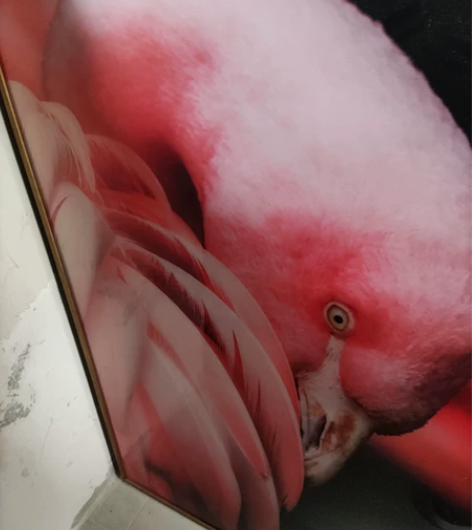 一对烤漆装饰画，工艺精湛，80上海徐泾自提...