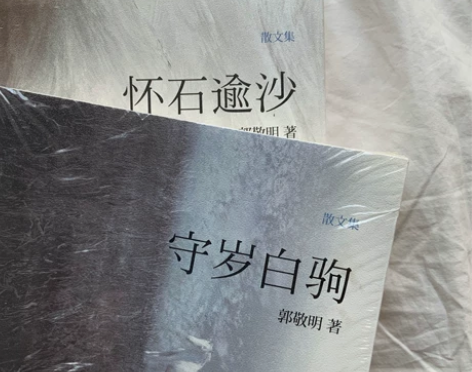 郭敬明 辛夷坞青春言情小说散文小四 均从书...