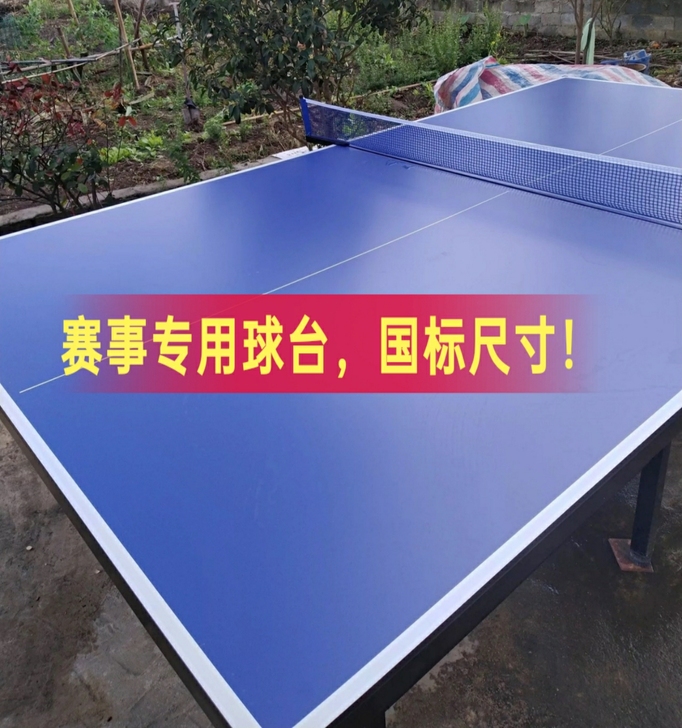 家用折叠乒乓球桌室内乒乓桌赛事标准乒乓球台...