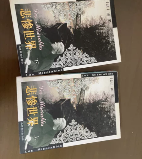 悲惨世界上下两册 雨果 #图书几乎全新