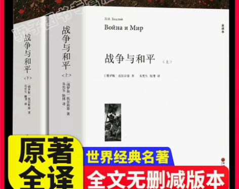 战争与和平 出版社战争与和平上下2册带注释...