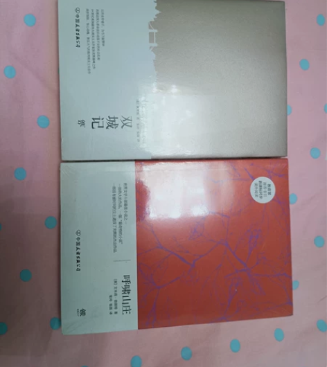 全新未拆封 呼啸山庄 双城记 活着就要有趣...