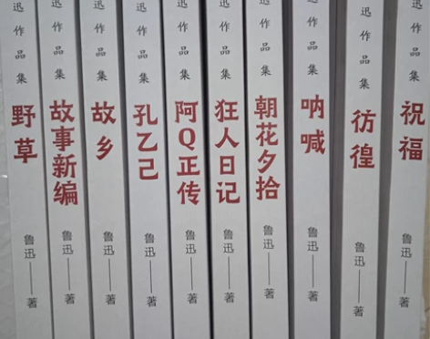 个人闲置出鲁迅全集必读10册朝花夕拾狂人日...