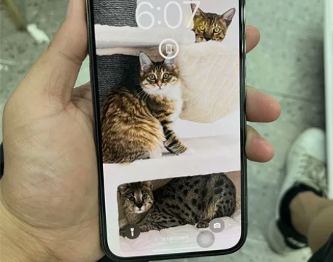 苹果12proMAX 官网买14proma...