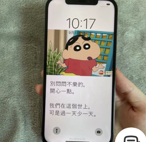 特价 iPhone苹果12Pro 256G...