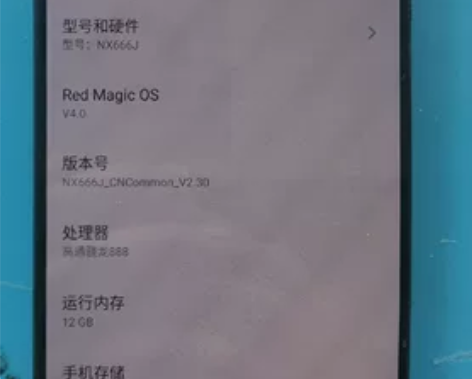 努比亚红魔6R 12+256 小花 透图 ...